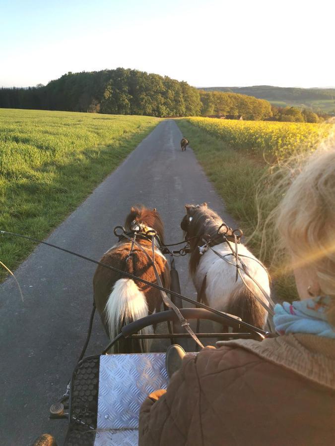 Appartamento Lavendelmond Ferien Struchtrup Esterno foto